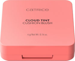 Catrice Cosmetics Ρουζ 010 4gr