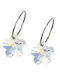 Blomdahl Earrings APS0258