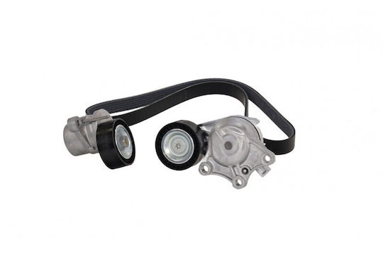 Curea Micro-v Citroen Berlingo 08 + Întinzătoare 1687683880
