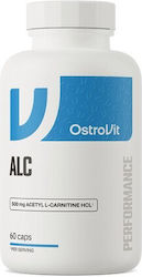 OstroVit ALC Supliment alimentar special 60 capsule Ostrovit OstroVit ALC Supliment alimentar special 60 capsule Ostrovit