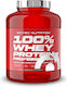 Scitec Nutrition 100% Whey Protein Professional Organic Whey Protein Gluten Free with Pistachio White Chocolate Flavor 1.8kg