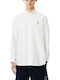 Long Sleeve Cotton Shirt in Regular Fit White