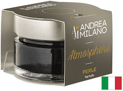 Acetificio Andrea Milano Oțet Balsamic 50ml