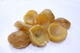 Artichoke Osmotic Without Sugar 1 Kilo Health Trade