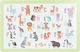 Heinner Food Accessories Green