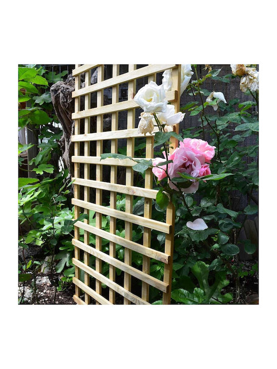 Trellis de Grădină pentru Urcare 6x6 din Lemn c...