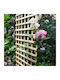 Garden Climbing Trellis 6x6 from Wood with Square Grid