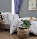 Cokitex Hotel Duvet Cover Cotton Striped 245x265cm