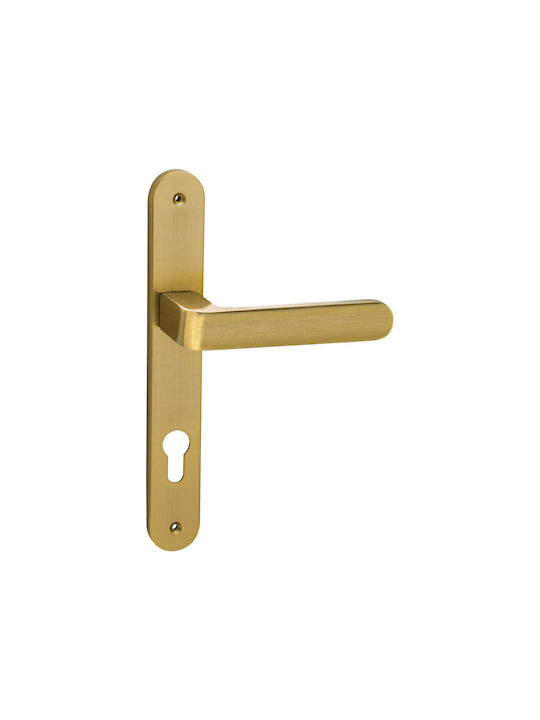 Viometale Front Door Lever With Plate Matt
