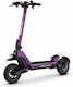 Ecoxtrem Deimos Electric Scooter with 25km/h Ma...