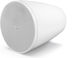 Bose Professional Bose Designmax Dm5p Weiß Paar
