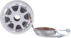 Prolutech Bandă LED Impermeabilă 220V Lumină Alb Natural 25m Tip SMD2835 Prolutech Bandă LED Impermeabilă 220V Lumină Alb Natural 25m Tip SMD2835