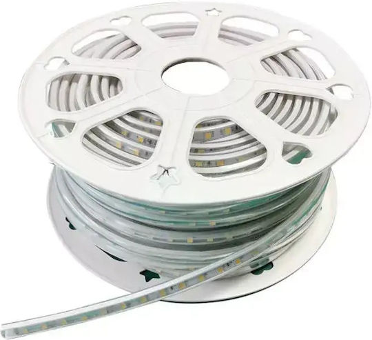 Prolutech Bandă LED Impermeabilă 220V Lumină Alb Natural 50m Tip SMD5050
