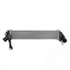 Intercooler Nissan Kubistar Renault Kangoo 8200221885
