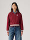 Women's Sweatshirt Cardigan Burgundy