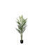 Copac Real Touch Palmier Bambus Ghiveci Y120cm 4/buc