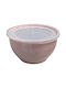 TnS Set Kunststoff Mittagsboxen Rosa 23x23cm 4 Stück