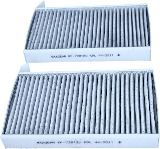 Φίλτρο Καμπίνας Tesla Model 3 Y 01.17 Σετ 2 Τεμ Silver Carbon Ιόντα Αργύρου Ενεργό Άνθρακα Adbp250014