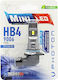 Photon Крушка за автомобил HB4-9006 LED 6000K Хладно Бяло 12-24V