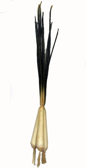 Τεχνητο Κρεμμυδακι Σετ 3 Τεμ Πρασινο 40χ2cm 520434