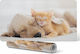 Αντιολισθητικό Ποντίκι Πληκτρολόγιο Sweet Animal Dream 120x60 Εκ