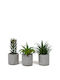Stewehome Set 3 Bucăți Cactuși Artificiali Suculenti Modern Gri Vas Din Plastic