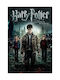 Harry Potter Deathly Hallows Part 2 Mv388 40cm X 50cm-71825pd159610