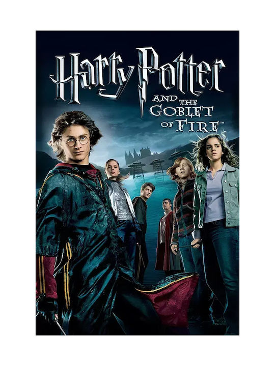 Poster Harry Potter Goblet Fire Mv384 50cm X 70cm-71821pd159583