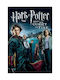 Poster Harry Potter Goblet Fire Mv384 50cm X 70cm-71821pd159583