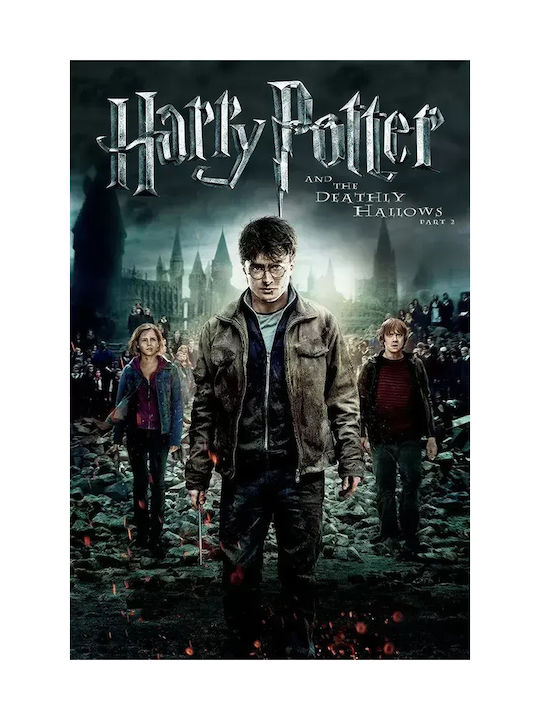 Harry Potter Deathly Hallows Teil 2 Poster 30cm x 40cm-71825pd159609