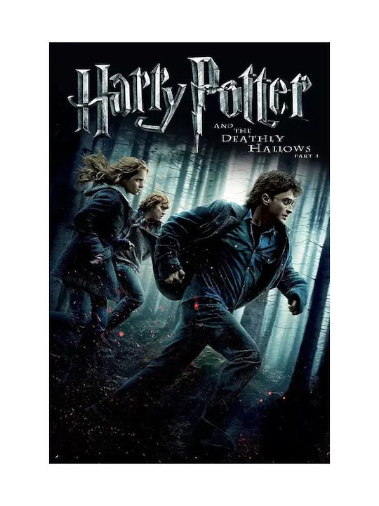 Harry Potter Deathly Hallows Part 1 Mv387 21cm X 30cm-71824pd159601