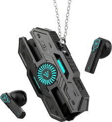 CYXG X37 CYXG X37
