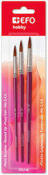 Set of Round Brushes 2-4-6 Pony Hair Efo 195246