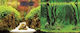 Hobby Постер Тропически Каньон Woodland 2 Странен 0,50x25см Hobby 4011444310170