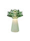 Iliadis Decorative Lighting Flower 15x13x20cm