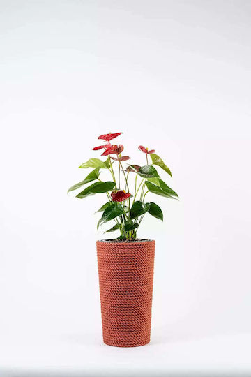 Adoni Kunststoff Blumentopf Rot 36x36cm