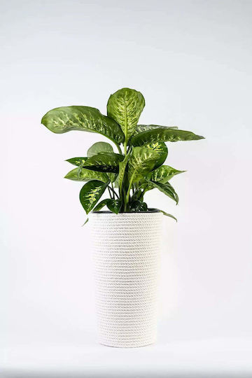 Adoni Kunststoff-Blumentopf Weiß 28x47cm