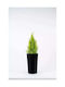 Adoni Kunststoff-Blumentopf Schwarz 22x36cm
