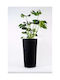Adoni Bamboo Black Flower Pot 32x57cm
