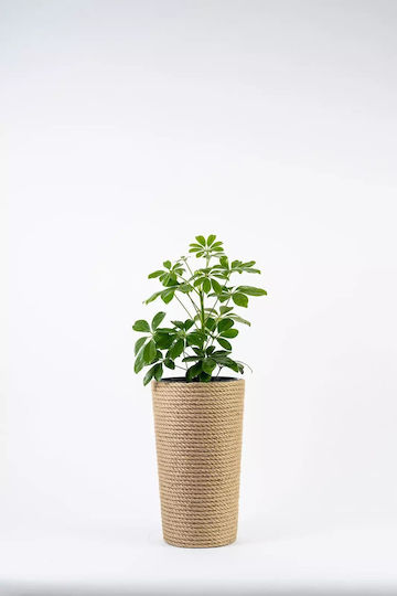 Adoni Kunststoff Blumentopf Jute Adoni Kunststoff Blumentopf Jute