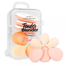 Clavier Set With 6 Pieces Of Sponges