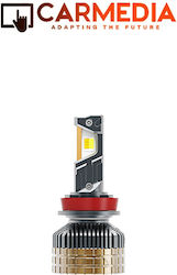 Carmedia Autolampen H11 LED