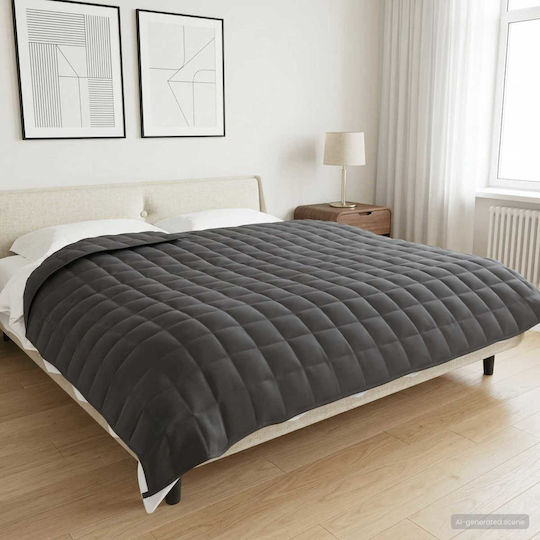 vidaXL Double Blanket 220x235cm Anthracite