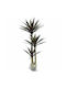 Artificial Decorative Dracaena Plant 120cm Realistic Look Ideal For Living Room Office No Maintenance