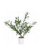 Olive Potted Plant 58cm (Various Designs) Ibergarden