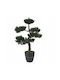 Bonsai Potted Plant 50cm (Various Designs) Artpol