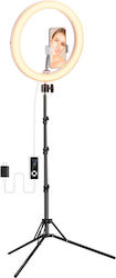 Neewer Ringlicht 26cm