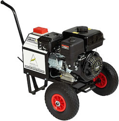 Agelis Generator for Olive Harvester Gasoline 13.8V Agelis Generator for Olive Harvester Gasoline 13.8V