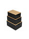 Edaxo Plastic Black Lunch Box
