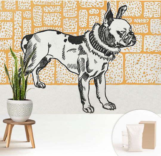Tapet De Perete 208x146cm